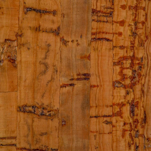 Texture Background Ornament Cork Floor Wall Tiles Peel Quercus Suber — Stock Photo, Image
