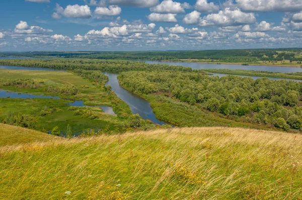 Landskap Med Flod Grönska Och Molnig Himmel — Stockfoto