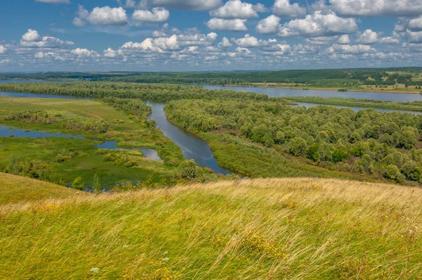 Paisaje Con Río Vegetación Cielo Nublado — Foto de Stock