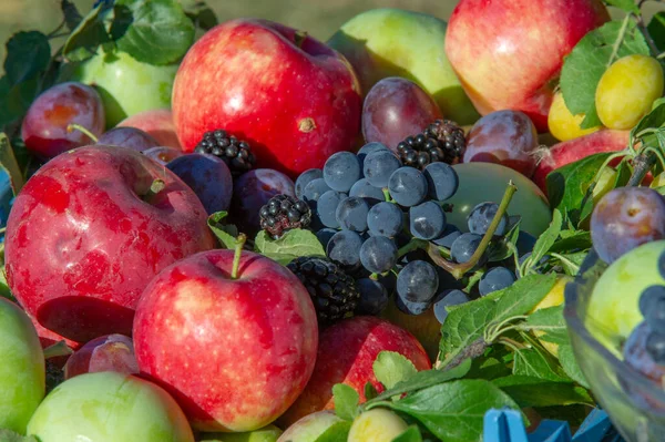 Fair Farm Geschenken Hun Pracht Watermeloenen Meloenen Pompoenen Druiven Appels — Stockfoto