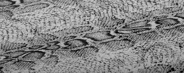 Tecido Com Padrão Pele Cobra Cinza Tecido Africano Foto Desenho — Fotografia de Stock