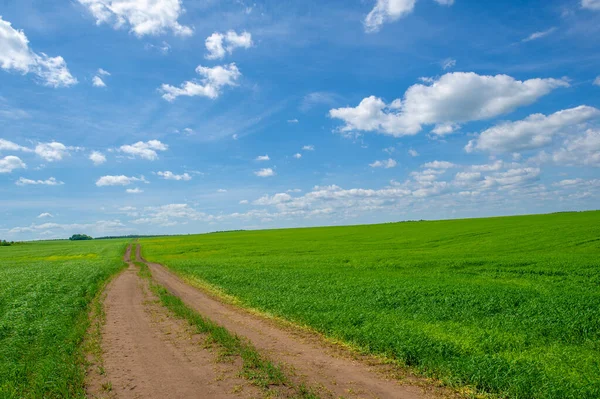 Beautiful Summer Landscape Scene Daylight Stock Photo