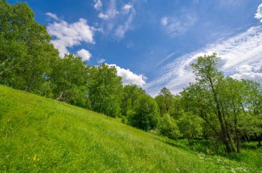 Yeşil ve bulutlu gökyüzü ile yaz manzarası