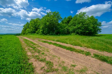 Gün ışığında güzel yaz manzarası
