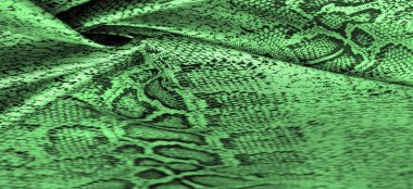 Yeşil yılan derisi desenli kumaş, Afrika kumaşı, özel tasarım fotoğraf - Afrika ülkesinde safari. Doku, arkaplan 