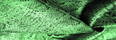 Doku, arka plan, desen, yeşil yılan derisi desenli kumaş, Afrika kumaşı, özel tasarım fotoğraf - Afrika ülkesinde safari