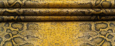 Doku, arkaplan, desen, kumaş, sarı yılan derisi deseni, Afrika kumaşı, tasarımcı fotoğrafı - Afrika ülkesinde safari