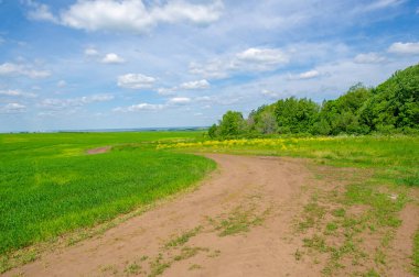 Gün ışığında güzel yaz manzarası