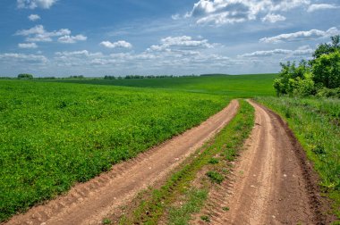 Gün ışığında güzel yaz manzarası