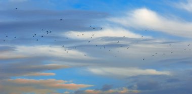 Kumaş arka plan, desen, duvar kağıdı. Onlar hala oldukça yüksek bulutlar. Onlar yağmur yağdırmaz. Altostratus bulutları ortalama bir gri ya da mavi-griye sahiptir. Genellikle tüm gökyüzünü kaplar..