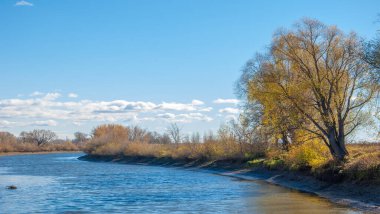 Sonbahar fotoğrafçılığı, nehrin taşkın ovası, ama şimdiye kadar sadece sonbahar altın, ne yağmur ne de rüzgar var, ve altın yaprak yeryüzüne uçuyor, ruhun özlemle doluyor..