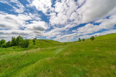 Gün ışığında güzel yaz manzarası