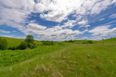 Gün ışığında güzel yaz manzarası