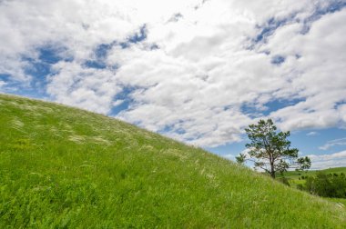 Gün ışığında güzel yaz manzarası