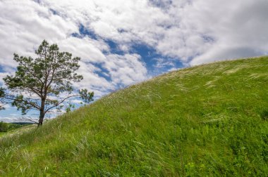 Gün ışığında güzel yaz manzarası