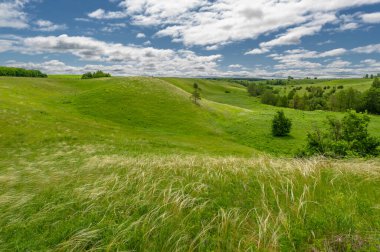Gün ışığında güzel yaz manzarası