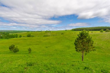 Gün ışığında güzel yaz manzarası
