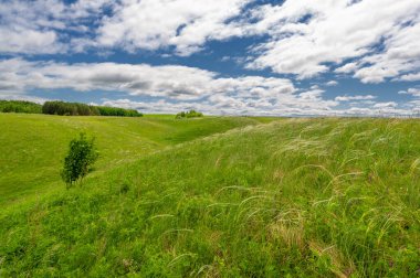 Gün ışığında güzel yaz manzarası