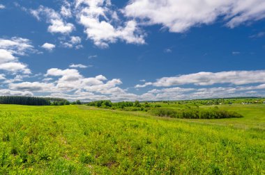 Gün ışığında güzel yaz manzarası