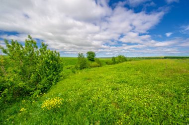 Gün ışığında güzel yaz manzarası