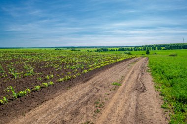Gün ışığında güzel yaz manzarası
