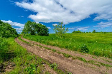 Gün ışığında güzel yaz manzarası
