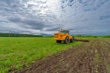 Gün ışığında güzel manzaranın resimsel görüntüsü