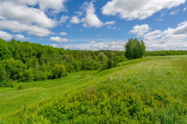 Gün ışığında güzel yaz manzarası