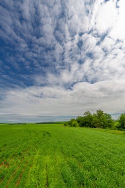 Gün ışığında güzel yaz manzarası