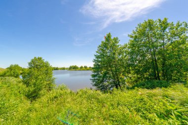 Gün ışığında güzel manzaranın resimsel görüntüsü