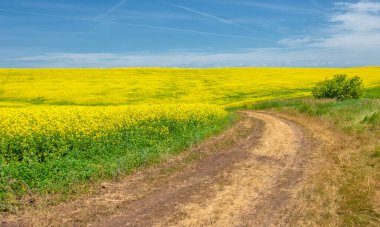 Gün ışığında güzel manzaranın resimsel görüntüsü