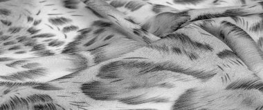 Afrika usulü siyah beyaz ipek kumaş. Tasarımcı, doku deseni, arkaplan koleksiyonu.