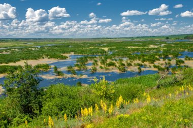 Yeşil ve bulutlu gökyüzü ile yaz manzarası