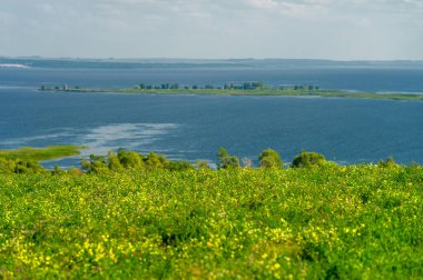 Gün ışığında güzel manzaranın resimsel görüntüsü
