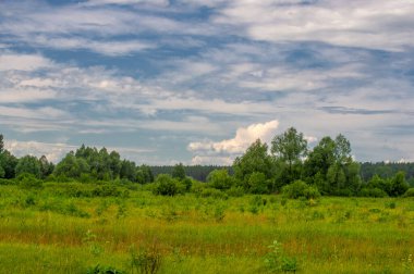 Yeşil ve bulutlu gökyüzü ile yaz manzarası