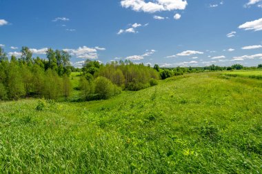 Gün ışığında güzel yaz manzarası