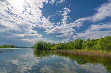 Gün ışığında güzel yaz manzarası