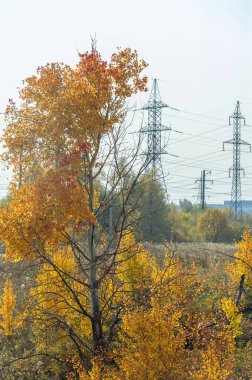 Gün ışığında güzel manzaranın resimsel görüntüsü