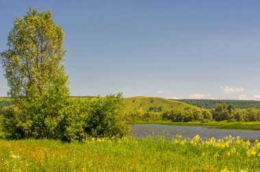 Gün ışığında güzel yaz manzarası