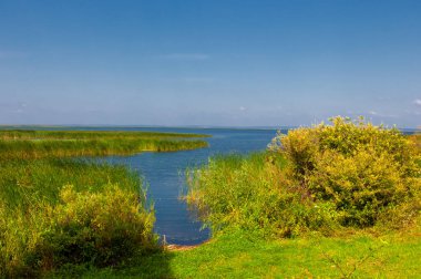 Gün ışığında güzel manzaranın resimsel görüntüsü