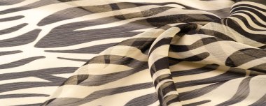 Siyah ve bej çizgili ipek kumaş, Afrika tarzı zebra derisi. Tasarımcı için, tasarımın taslağı, dekoratörün çevresi. Arkaplan dokusu koleksiyonu