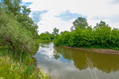 Gün ışığında güzel yaz manzarası