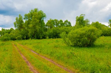 Yeşil ve bulutlu gökyüzü ile yaz manzarası