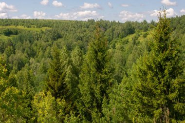 Yeşil ve bulutlu gökyüzü ile yaz manzarası