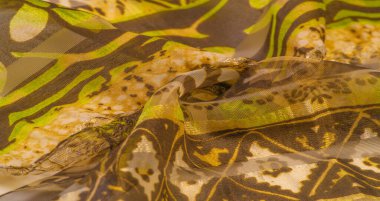 ipek kumaş, yeşil-kahverengi, soyut arka plan kumaşı veya sıvı dalga veya grunge ipek kumaş kıvrımlı kadife kumaş veya lüks Noel arkaplanı veya zarif duvar kağıdı tasarımı