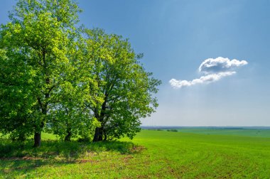 Gün ışığında güzel manzaranın resimsel görüntüsü