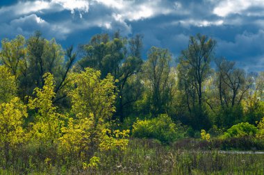 güpegündüz sonbahar manzarasının resimsel görüntüsü