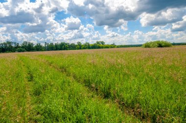 Gün ışığında güzel manzaranın resimsel görüntüsü