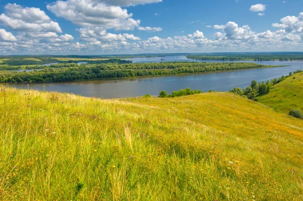 Paesaggio Con Fiume Verde Cielo Nuvoloso — Foto Stock