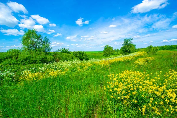 Lato Fotografia Krajobraz Czerwoną Gliną Slajdów Lato Fotografia Krajobraz Łąkami — Zdjęcie stockowe